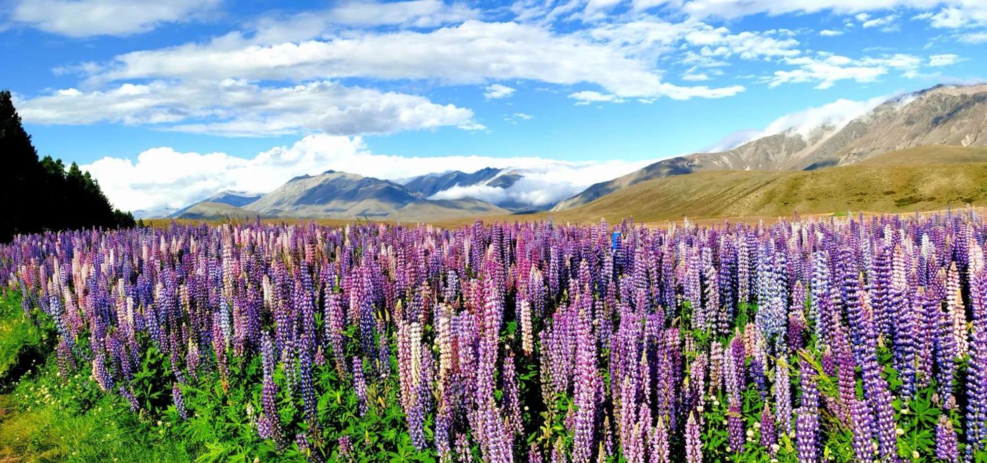 37 Galaxy A Apartment Lake Tekapo Luaran gambar